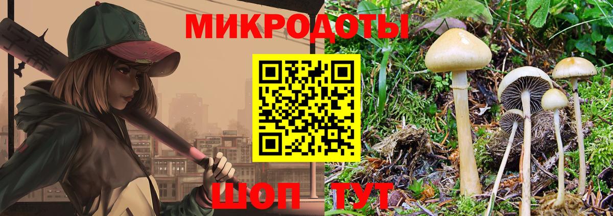Псилоцибиновые грибы Cubensis Пушкино