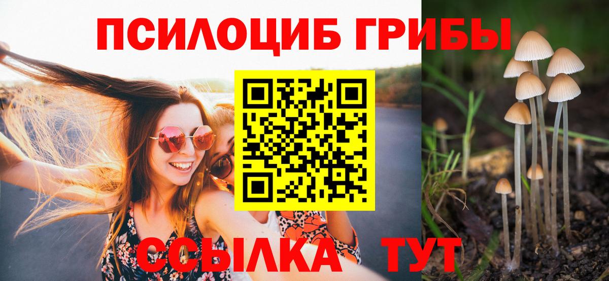 Псилоцибиновые грибы мицелий  Галлюциногенные грибы мухоморы  Пушкино  Вход с VPN 
